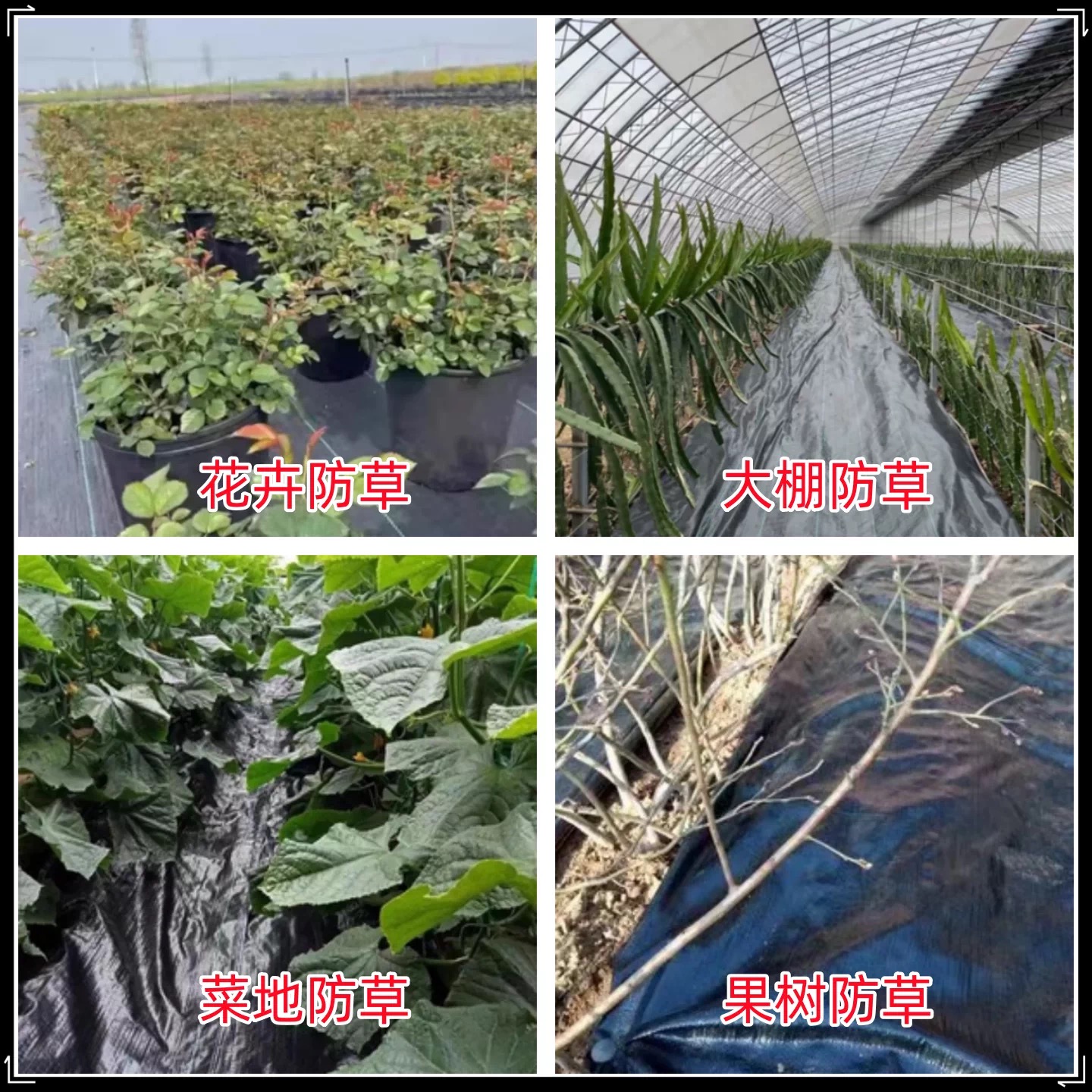 定西市地膜防草布 - 排名