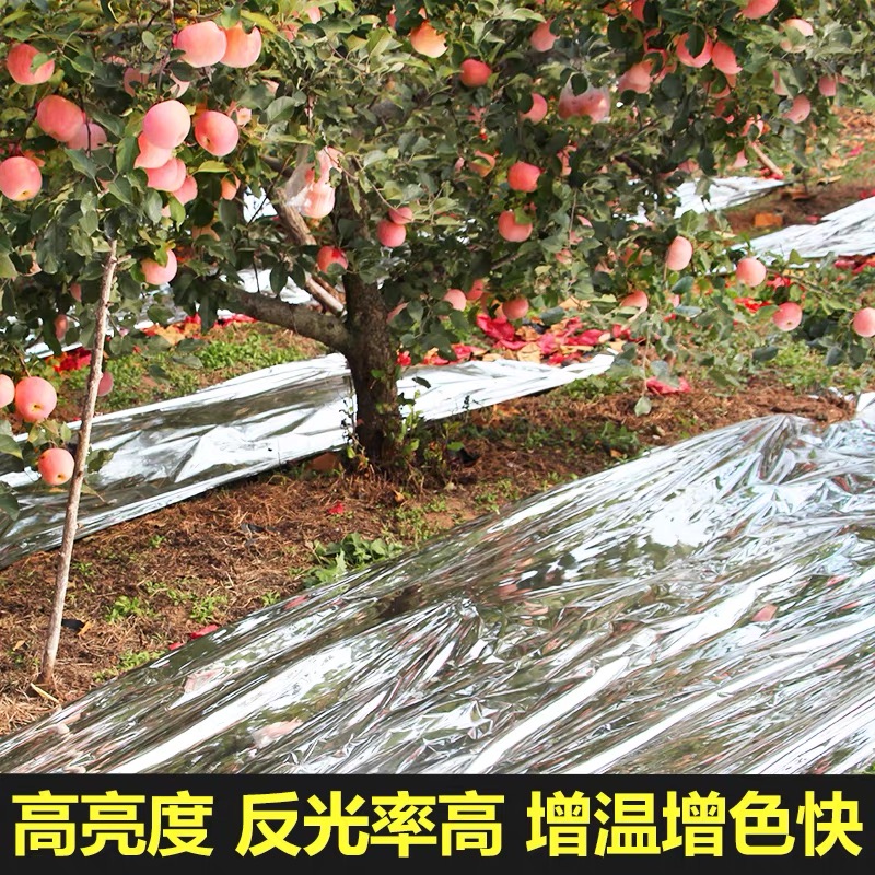 定西市防草布果树反光膜 - 厂家